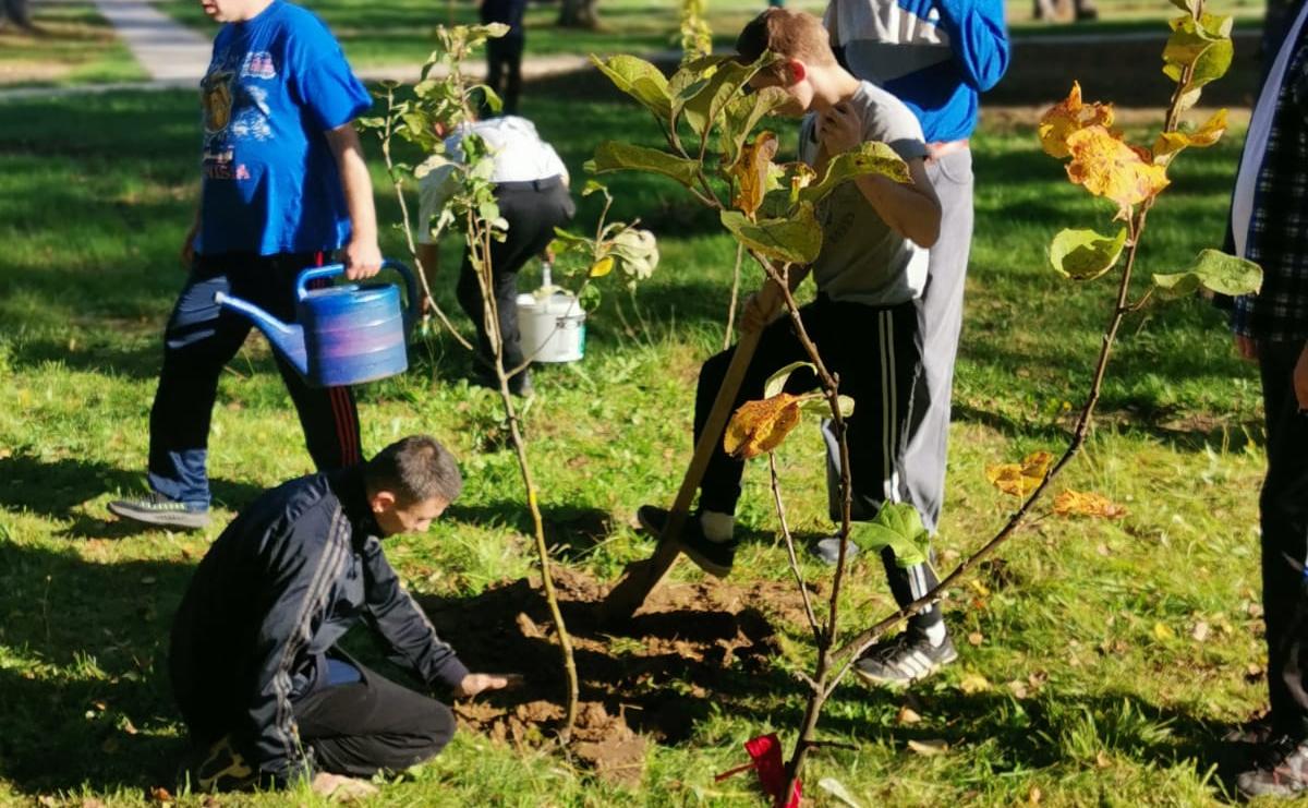 На территории доброго дома «Одинцовский» высадили садовые деревья.jpeg